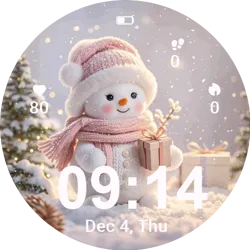 Snowy Gift