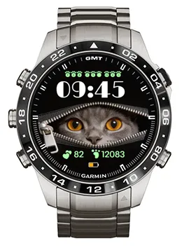 Cat Day · 截图 2