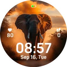 Sunset Elephant