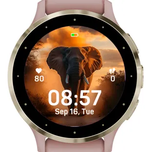 Sunset Elephant · 截图 0