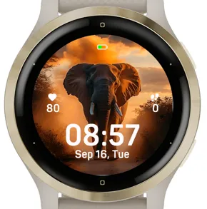 Sunset Elephant · 截图 2