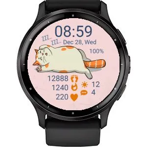 Cat 05