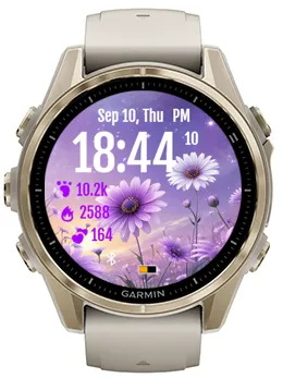 Purple Daisy · 螢幕截圖 3
