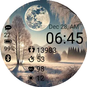 Winter Landscape Full Moon
