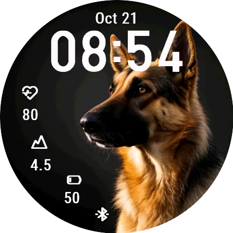 Big Dog