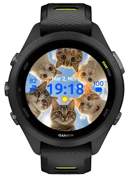 Six Cats · Captura de tela 0
