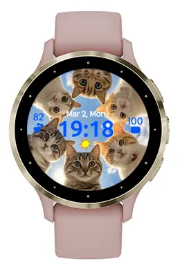 Six Cats · Captura de tela 1