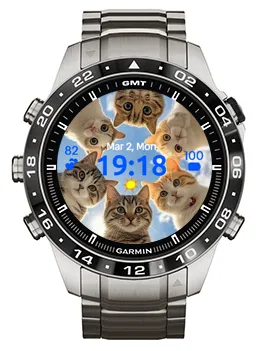 Six Cats · Captura de tela 2