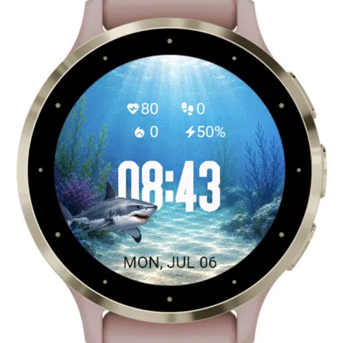 Ocean Shark