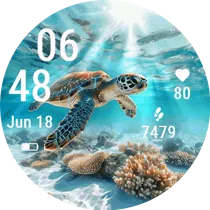 Turtle Lagoon
