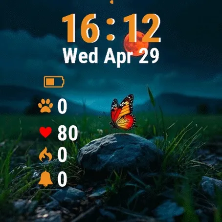 Butterfly Sitting on the Rock · 截图 2