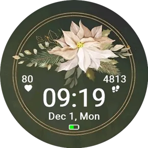 White Poinsettia