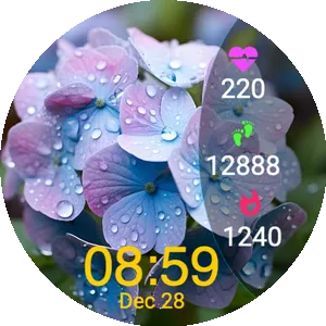 Blossom in the rain