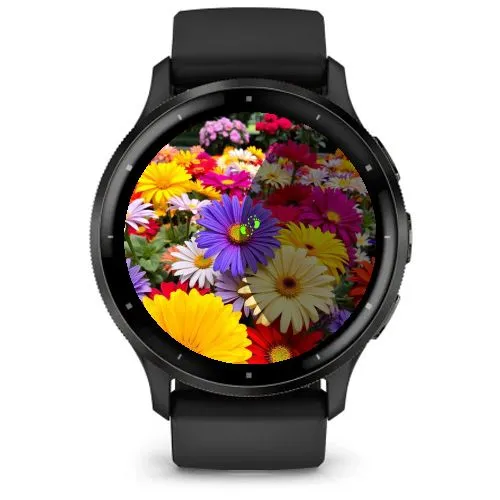 Colorful · 截图 2