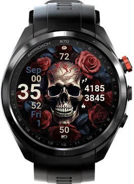 Skull with Roses · 截图 0