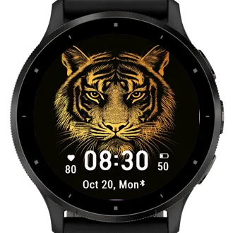 Tiger Two · 截图 1