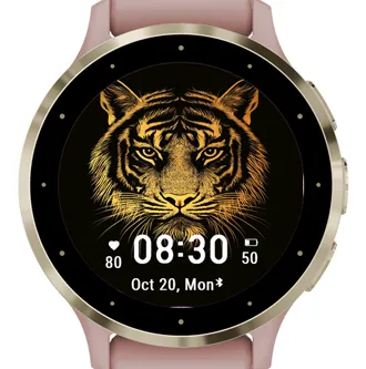 Tiger Two · 截图 2
