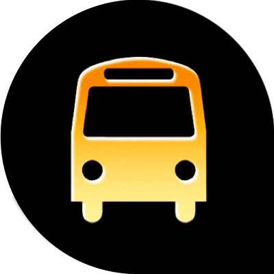 Public Transport r.485