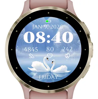 White Swan · 截图 3