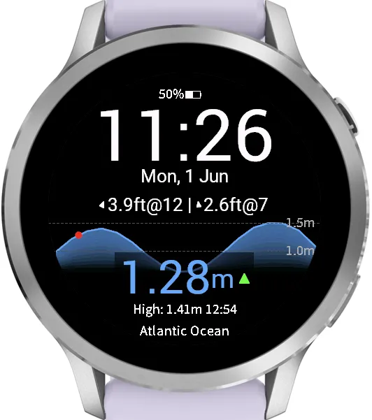 Tide Watch