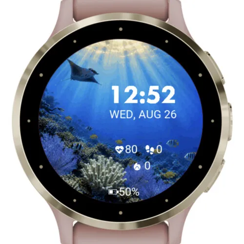 Diver Animated