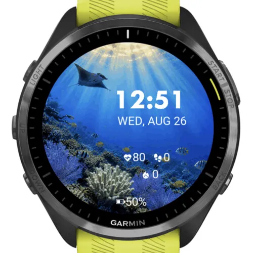 Diver Animated · Screenshot 2