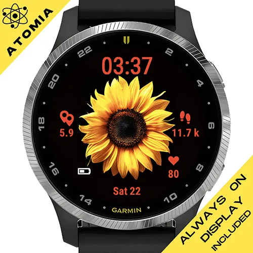 Sunflower Beauty G