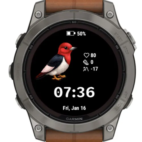 Cute Red Bird · Snimka zaslona 0