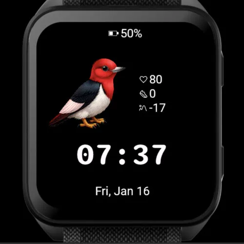 Cute Red Bird · Snimka zaslona 2