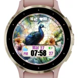 Stained Peacock · 螢幕截圖 3