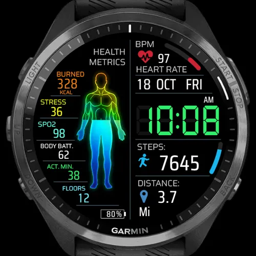 Body Info