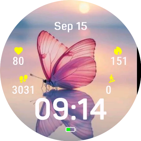 Reflective Butterfly
