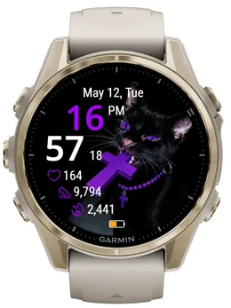 Eclipse Cat · 截图 0