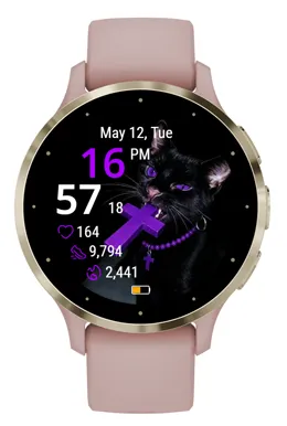 Eclipse Cat · 截图 1