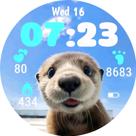 Sunny Otter · G