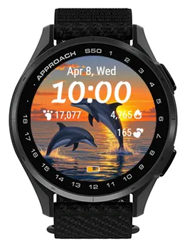 Sunset Dolphin