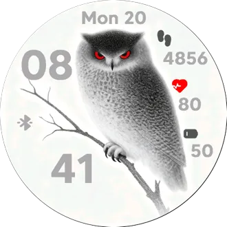 Silent Owl