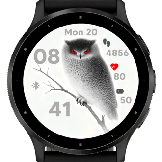 Silent Owl · Skærmbillede 0