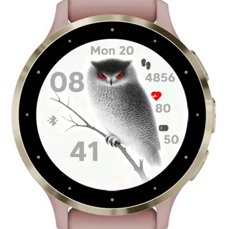 Silent Owl · Skærmbillede 1