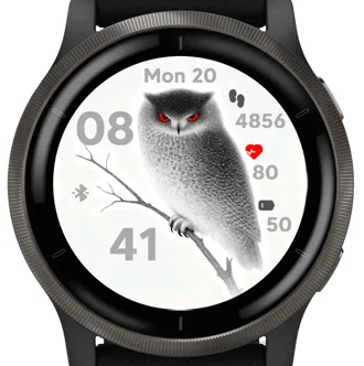 Silent Owl · Skærmbillede 2