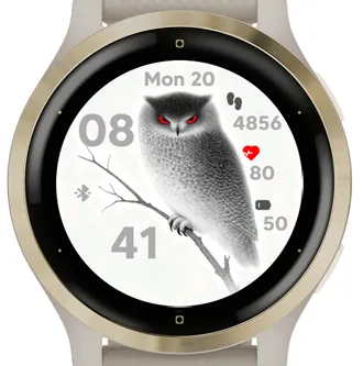 Silent Owl · Skærmbillede 3