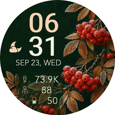 Frosted Berries