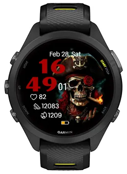 Pirate Skeleton