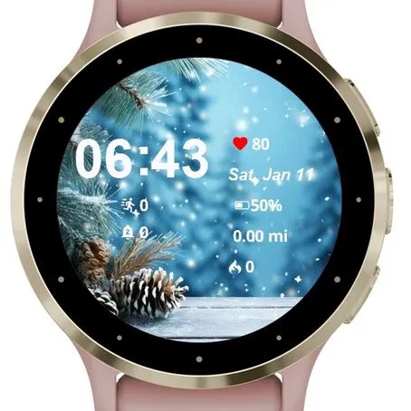 Winter Backdrop