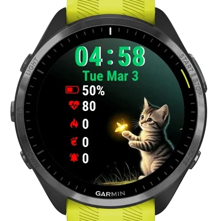 Cat Is Looking At Light Dark · 截图 2