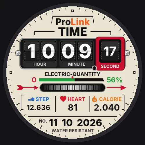 ProLink TIME