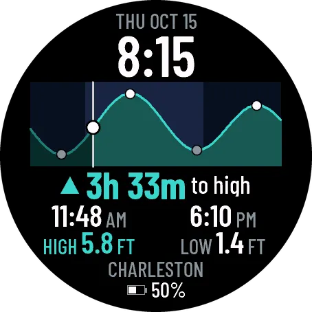 Tide Line — NOAA Tide Curve Watch Face · 螢幕截圖 0