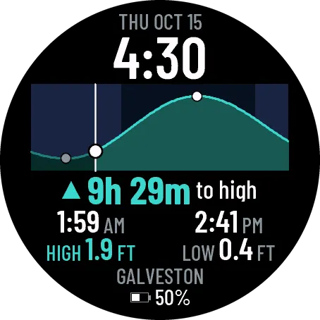 Tide Line — NOAA Tide Curve Watch Face · 螢幕截圖 1