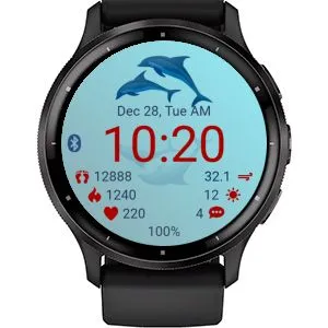 Dolphins
