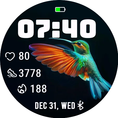 A Hummingbird